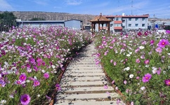 在糖心VLog唐伯虎女主角是谁